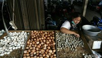 Padahal, sebelumnya harga telur ayam masih sebesar Rp 24.000 per kilogram.