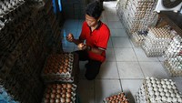 Kenaikan harga telur ayam tersebut terjadi seiring makin dekatnya Natal dan Tahun Baru. 