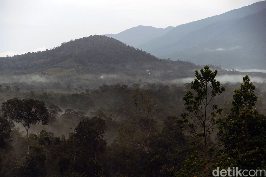 Indonesia tidak pernah kekurangan destinasi wisata yang menarik untuk disinggahi. Perbatasan Aruk, Kalimantan Barat, juga menyajikan alam yang indah.