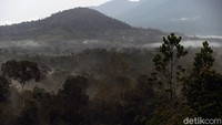 Meski untuk menjelajahi wisata di Sambas cukup jauh dengan lamanya perjalanan yang harus ditempuh, rasa lelah ini akan terbayar dengan keindahan wisata Sambas yang memesona.