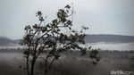 Keindahan Panorama di Perbatasan Aruk