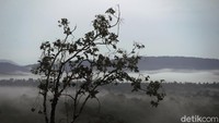 Naik turun dan berkelok, itulah perjalanan yang dilewati sesaat menuju keperbatasan Area Aruk, Sambas, Kalbar.