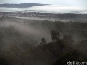 Keindahan Panorama di Perbatasan Aruk