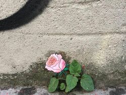 Aksi Vandalisme yang Super Kreatif