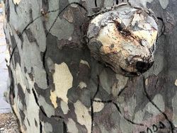 Aksi Vandalisme yang Super Kreatif