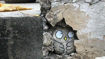 Adalah Cal seorang seniman jalanan yang menorehkan karyanya di lingkungan perkotaan khususnya di kota Lyon, Paris. Foto: instagram/cal_dessins_and_co