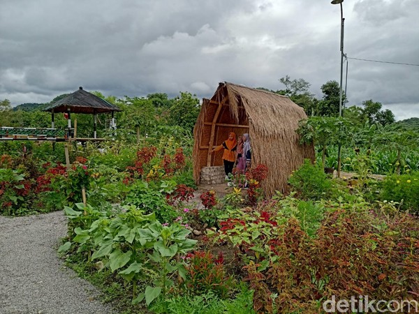 Saat datang, wisatawan hanya membayar Rp 5 ribu untuk tiket masuk sekaligus parkir. Di sini selain bisa sepuasnya berfoto dengan spot menarik juga ada deretan warung yang bisa menggoyang lidah pecinta kuliner. Saat datang, wisatawan hanya membayar Rp 5 ribu untuk tiket masuk sekaligus parkir. Di sini selain bisa sepuasnya berfoto dengan spot menarik juga ada deretan warung yang bisa menggoyang lidah pecinta kuliner.