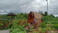 Saat datang, wisatawan hanya membayar Rp 5 ribu untuk tiket masuk sekaligus parkir. Di sini selain bisa sepuasnya berfoto dengan spot menarik juga ada deretan warung yang bisa menggoyang lidah pecinta kuliner.