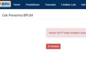 Cara Daftar di eform.bri.co.id/bpum buat Cairkan BLT UMKM Rp 1,2 Juta