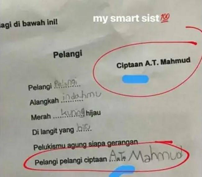 Ya bener sih enggak salah. Mungkin kepintarannya si adek ini yang sudah terlalu melebihi kita. Foto: Twitter/@bngpy