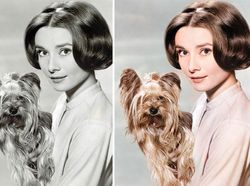 Foto HItam Putih Ini Jadi Berwarna Pakai AI