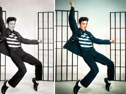 Foto HItam Putih Ini Jadi Berwarna Pakai AI