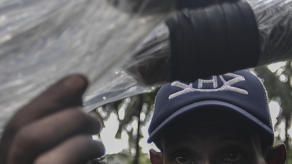 Nama sopi diketahui berasal dari bahasa Belanda Zoopje yang berarti alkohol cair.