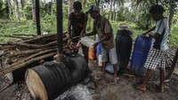 Salomon memiliki perlengkapan mengolah nira kelapa menjadi sopi di gubuk kecil miliknya sejak beberapa tahun terakhir. Setiap hari, dia mengumpulkan nira kelapa untuk disuling menjadi sopi.