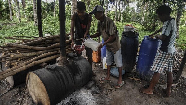 Salomon memiliki perlengkapan mengolah nira kelapa menjadi sopi di gubuk kecil miliknya sejak beberapa tahun terakhir. Setiap hari, dia mengumpulkan nira kelapa untuk disuling menjadi sopi. Salomon memiliki perlengkapan mengolah nira kelapa menjadi sopi di gubuk kecil miliknya sejak beberapa tahun terakhir. Setiap hari, dia mengumpulkan nira kelapa untuk disuling menjadi sopi.