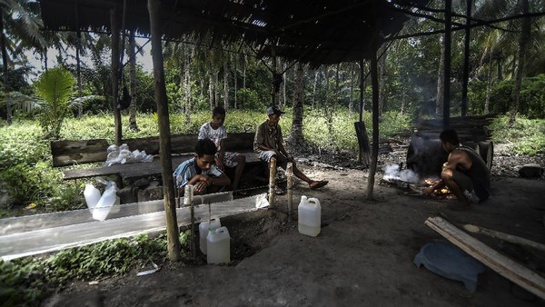 Dalam sebulan, petani pengolah Sopi mampu meraup untung mencapai Rp5 juta. Dengan hasil mengolah Sopi itu, sebagian penduduk mampu membiayai sekolah anaknya hingga perguruan tinggi. Dalam sebulan, petani pengolah Sopi mampu meraup untung mencapai Rp5 juta. Dengan hasil mengolah Sopi itu, sebagian penduduk mampu membiayai sekolah anaknya hingga perguruan tinggi.