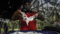Kegiatan tradisional maupun pertemuan informal dirasa tak lengkap tanpa kehadiran sopi, bahkan suatu perselisihan sosial dapat diselesaikan dengan segelas sopi.