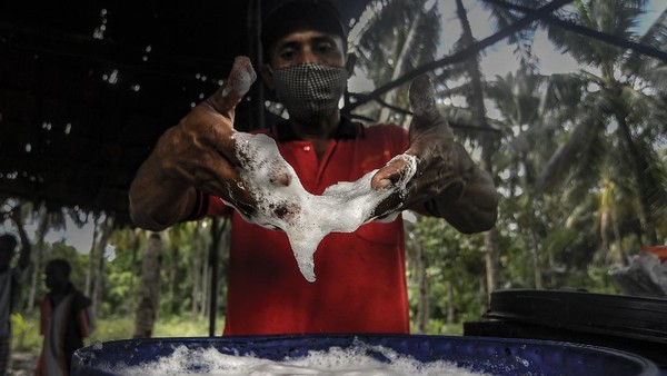 Kegiatan tradisional maupun pertemuan informal dirasa tak lengkap tanpa kehadiran sopi, bahkan suatu perselisihan sosial dapat diselesaikan dengan segelas sopi. Kegiatan tradisional maupun pertemuan informal dirasa tak lengkap tanpa kehadiran sopi, bahkan suatu perselisihan sosial dapat diselesaikan dengan segelas sopi.