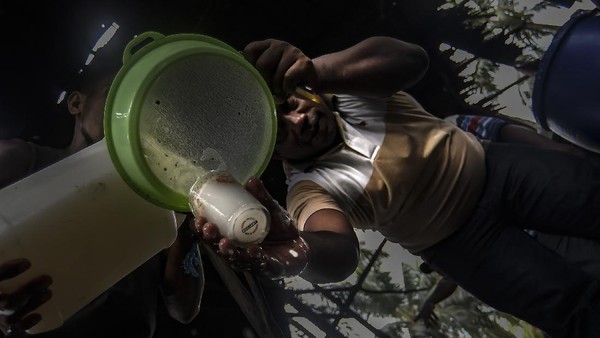 Meski demikian minuman warisan budaya Maluku tersebut masih menjadi perdebatan tekait legalitas peredarannya. Salomon menyatakan hingga saat ini, pihak berwajib masih melakukan razia, karena minuman beralkohol itu masih menjadi produk ilegal yang terkadang disalahgunakan. Meski demikian minuman warisan budaya Maluku tersebut masih menjadi perdebatan tekait legalitas peredarannya. Salomon menyatakan hingga saat ini, pihak berwajib masih melakukan razia, karena minuman beralkohol itu masih menjadi produk ilegal yang terkadang disalahgunakan.