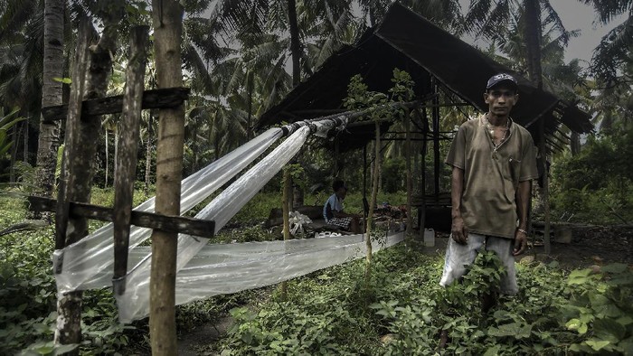 Sopi merupakan minuman tradisional yang tersohor di Maluku. Minuman yang dibuat dari Nira itu masih bertahan hingga kini. Seperti apa pembuatannya? Lihat yuk.