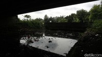 Sampah yang mengotori kali tersebut, dibuang dengan sengaja oleh warga setempat. 
