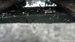 Jorok! Bantaran Kali di Kolong Jembatan Tol Jati Warna Penuh Sampah