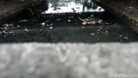 Kali pun selain menjadi kumuh, berwarna hitam dan berbau.