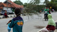 Meski berbahaya, tak sedikit warga yang datang ke jembatan itu untuk mengumpulkan koin. Tak sedikit dari penyapu koin yang harus berhadapan dengan maut akibat tidak hati-hati saat mengumpulkan koin di jembatan tersebut.