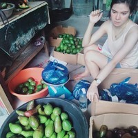 Namun Enrique tak menyerah begitu saja setelah terkena PHK. Dia langsung memutar otak agar bisa bertahan di tengah pandemi ini. Lewat akun Facebooknya, Enrique membagikan foto-foto yang memperlihatkan dirinya sedang sibuk menjual alpukat secara online. Foto: businessnews philippine