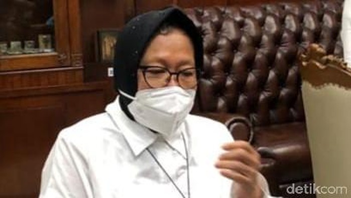 wali kota risma