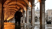 Hingga Desember 2021, tanggul antibanjir Venesia MOSE secara resmi masih dalam tahap uji coba. Karena itu, pengoperasiannya berada di bawah yurisdiksi negara Italia.