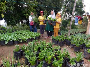 Emak-emak di Bandung Lawan Pandemi COVID-19 Lewat Tani Pekarangan