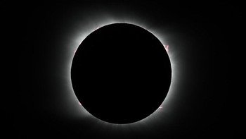 Dalam Gerhana Matahari Total, suasana menjadi gelap dan yang terlihat dari Matahari adalah bagian atmosfernya yang seperti cincin ini, Foto: AP/Natacha Pisarenko