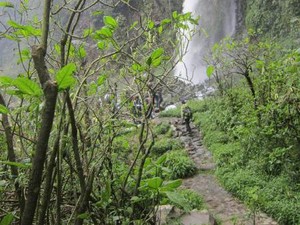 Serunya Trekking di Jembatan Kayu Curug Cibeureum
