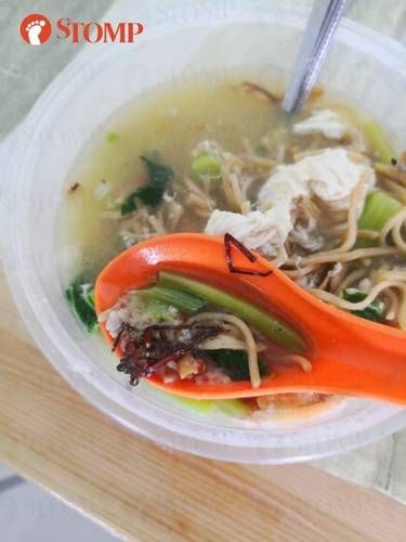 Pria Temukan Kecoak di Dalam Mie