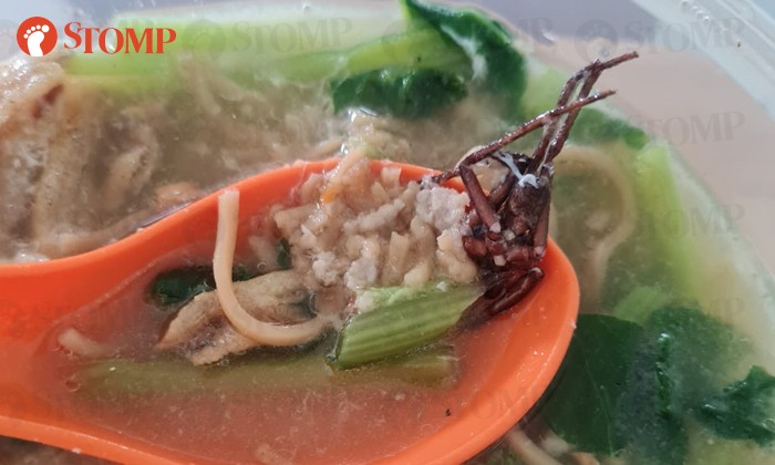 kecoak di dalam mie Pria Temukan Kecoak di Dalam Mie