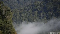 Dari atas bukit kita dapat melihat dan menikmati keindahan alam berupa pemandangan alam hutan tropis Kalimantan dan pemandangan perkampungan warga.