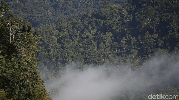 Dari atas bukit kita dapat melihat dan menikmati keindahan alam berupa pemandangan alam hutan tropis Kalimantan dan pemandangan perkampungan warga. Dari atas bukit kita dapat melihat dan menikmati keindahan alam berupa pemandangan alam hutan tropis Kalimantan dan pemandangan perkampungan warga.