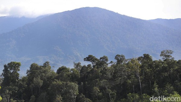 Padahal di dalam hutan Kalimantan terdapat banyak keunikan, mulai dari alam, air terjun, flora-fauna, hingga suku Dayak.