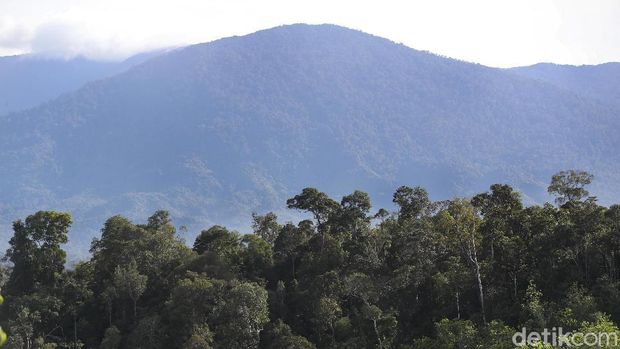 Mengintip Keindahan Hutan Tropis di Perbatasan Indonesia-Malaysia Kawasan hutan lindung yang menyimpan beragam flora langka, menjadi objek wisata favorit di perbatasan Indonesia-Malaysia. Seperti saat akan menuju PLBN Aruk, Sambas, Kalbar, sepanjang jalan disisi kanan maupun kiri disuguhi oleh panorama keindahan kawasan hutan tropis maupun perbukitan.