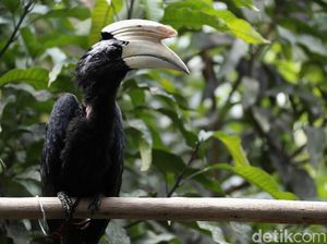 Suhu Global Bikin Khawatir, Sejumlah Tanaman Bisa Alami Krisis Fotosintesis