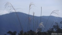 Kalimantan merupakan destinasi wisata yang sangat strategis untuk ditawarkan dalam rangka meningkatkan kunjungan wisatawan mancanegara (wisman) dari lintas perbatasan atau crossborder (border tourism).