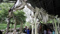 Secara geologi, Yogyakarta termasuk dalam jalur Ring Of Fire. Di mana merupakan pertemuan lempeng Eurasia dan Indo-Australia. Dampaknya adalah tingginya aktifitas tektonisme dan vulkanisme di daerah tersebut.  