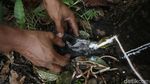 Nasib Petani Daerah Perbatasan di Tengah Pandemi