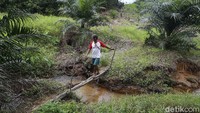 Di masa Pandemi COVID-19, menjadi kesulitan bagi Pak Mus untuk bisa menjual hasil kebunnya karena ditutupnya PLBN Aruk akibat Corona.  