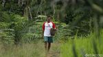 Nasib Petani Daerah Perbatasan di Tengah Pandemi