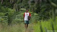 Salah satu sektor yang menjadi fokus pembangunan di wilayah perbatasan adalah sektor pertanian. Karena sektor ini dinilai dapat menghasilkan nilai tambah tinggi.  