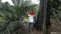 Untuk itu, langkah-langkah terobosan dilakukan pemerintah agar sektor pertanian bisa turut mendongkrak pertumbuhan ekonomi di wilayah perbatasan.   