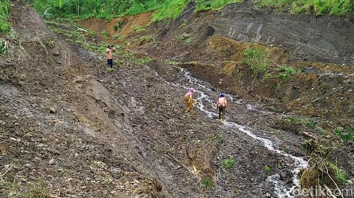 Penampakan Areal Pertanian Ambles Akibat Tanah Bergerak di Pekalongan Lahan pertanian di Blok Brandal, Dusun Bodas, Kandangserang, Kabupaten Pekalongan, juga terdampak tanah gerak. Lahan pertanian itu amblas dengan kedalaman sekitar 10-15 meter, panjang 1,5 km dengan lebar amblas hingga 250 meter. Kondisinya saat ini berubah menyerupai aliran sungai.