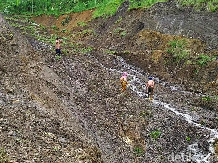 Lahan pertanian di Blok Brandal, Dusun Bodas, Kandangserang, Kabupaten Pekalongan, juga terdampak tanah gerak. Lahan pertanian itu amblas dengan kedalaman sekitar 10-15 meter, panjang 1,5 km dengan lebar amblas hingga 250 meter. Kondisinya saat ini berubah menyerupai aliran sungai.